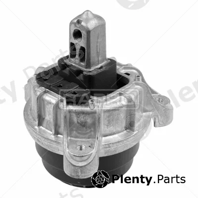 Rapro R54779 — Mounting, engine