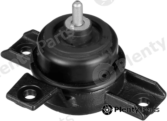 Rapro R55631 — Mounting, engine