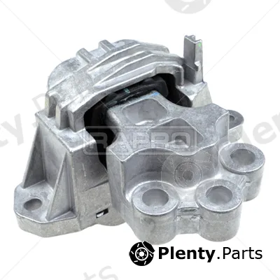 Rapro R54341 — Mounting, engine