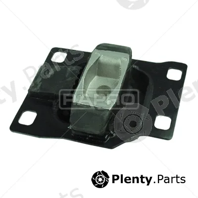 Rapro R51676 — Mounting, engine