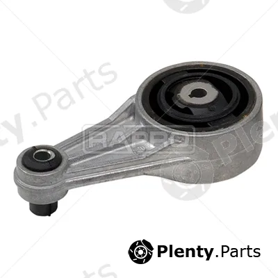 Rapro R55137 — Mounting, engine