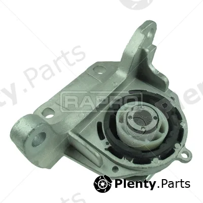 Rapro R51943 — Mounting, engine