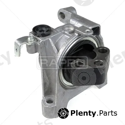 Rapro R54511 — Mounting, engine