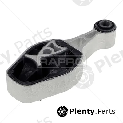 Rapro R54273 — Mounting, engine