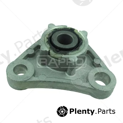 Rapro R50110/O — Mounting, engine