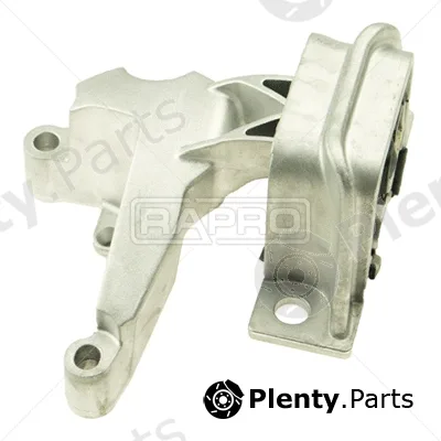 Rapro R55296 — Mounting, engine