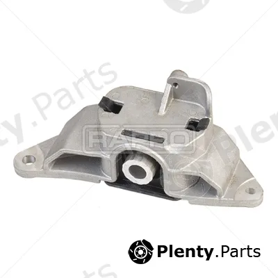 Rapro R52169 — Mounting, engine