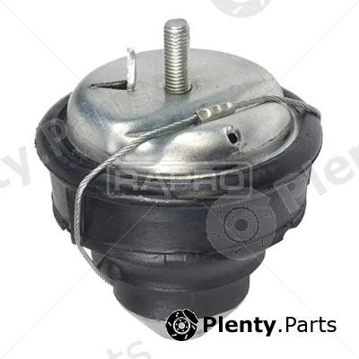 Rapro R52022 — Mounting, engine