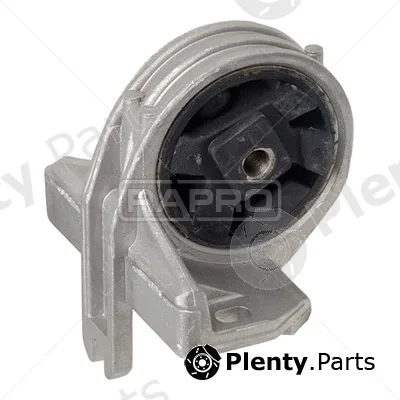 Rapro R55134 — Mounting, engine