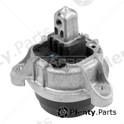 Rapro R54771 — Mounting, engine