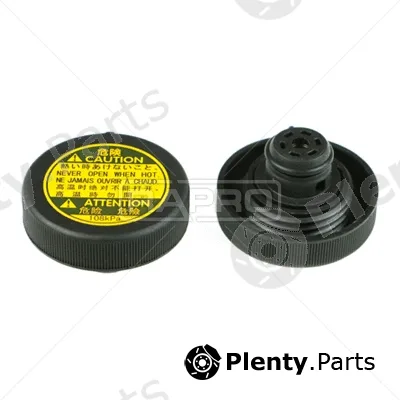 Rapro R66131 — Cap, coolant tank