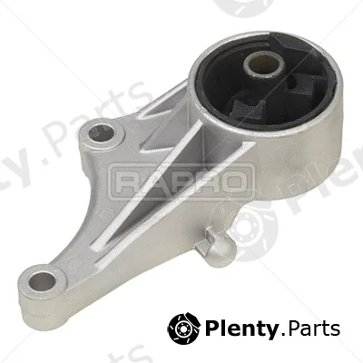 Rapro R59116 — Mounting, engine