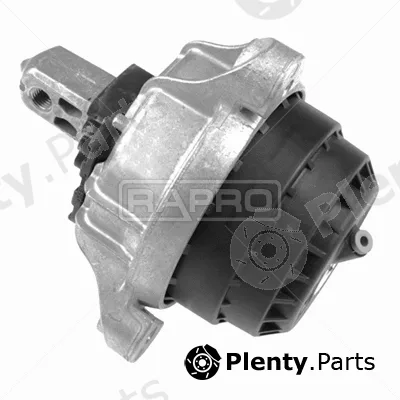 Rapro R55342 — Mounting, engine