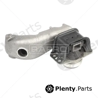Rapro R59869 — Mounting, engine