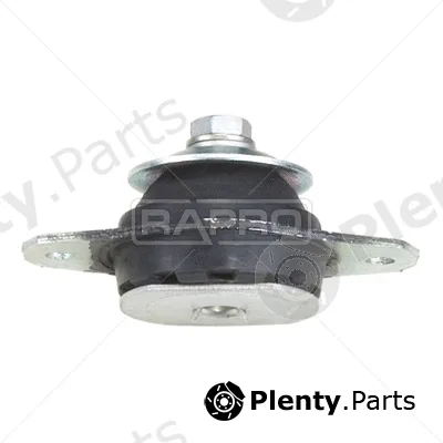 Rapro R59714 — Mounting, engine