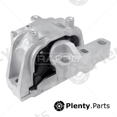 Rapro R54256 — Mounting, engine