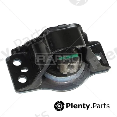 Rapro R53100 — Mounting, engine