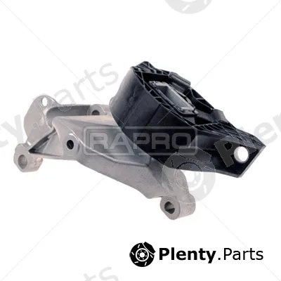 Rapro R54281 — Mounting, engine