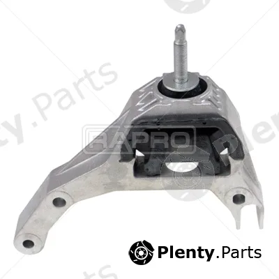 Rapro R54698/O — Mounting, engine