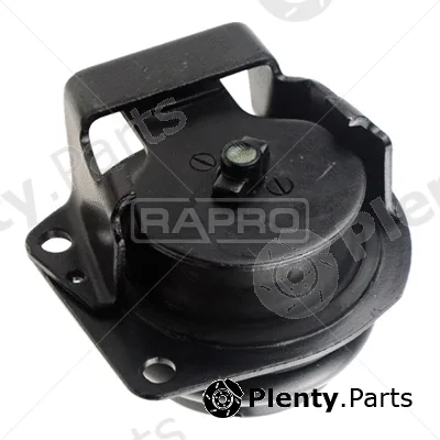 Rapro R54189 — Mounting, engine