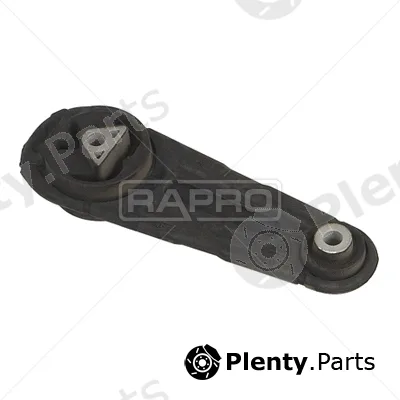 Rapro R53102 — Mounting, engine