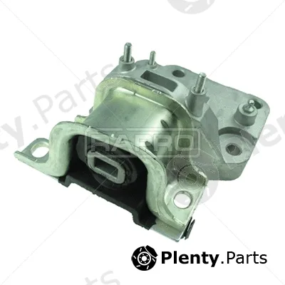 Rapro R51553/O — Mounting, engine