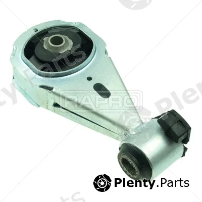 Rapro R51066/A — Mounting, engine