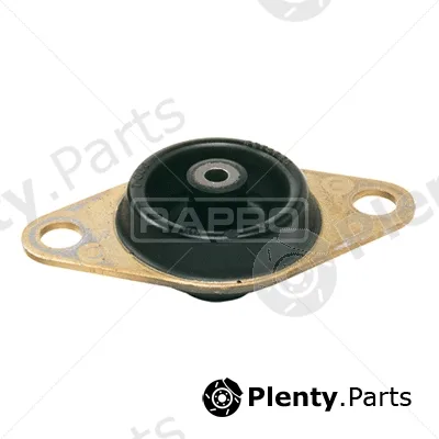 Rapro R57021 — Mounting, engine