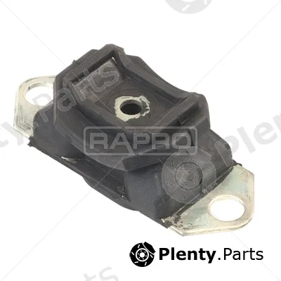 Rapro R59895 — Mounting, engine