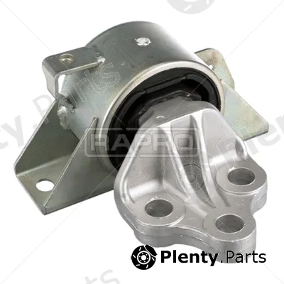 Rapro R54989 — Mounting, engine
