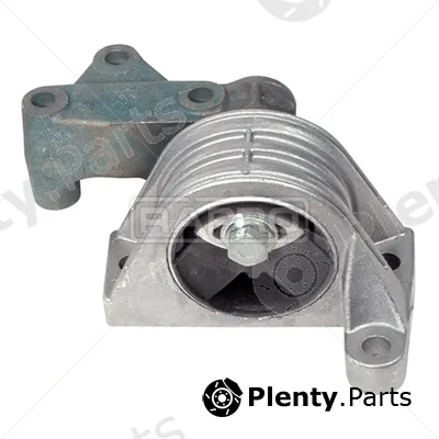 Rapro R59515 — Mounting, engine