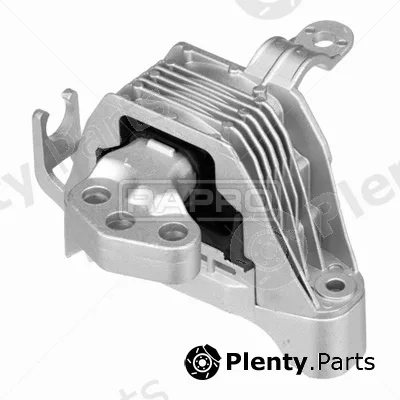 Rapro R55390 — Mounting, engine