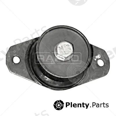 Rapro R51098 — Mounting, engine