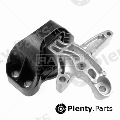 Rapro R54451 — Mounting, engine