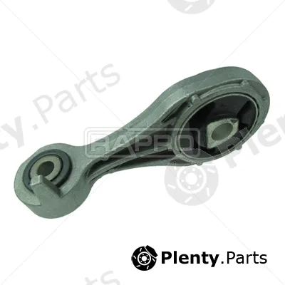 Rapro R51560/O — Mounting, engine