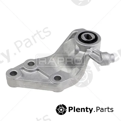 Rapro R54744 — Mounting, engine