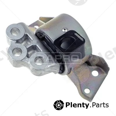 Rapro R54253 — Mounting, engine