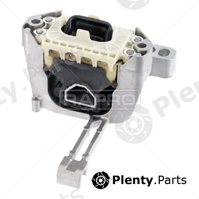 Rapro R54966 — Mounting, engine