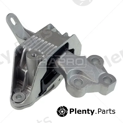 Rapro R54298 — Mounting, engine