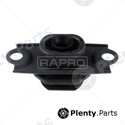 Rapro R54479 — Mounting, engine