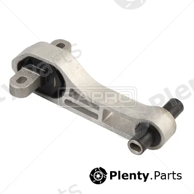 Rapro R52224 — Mounting, engine