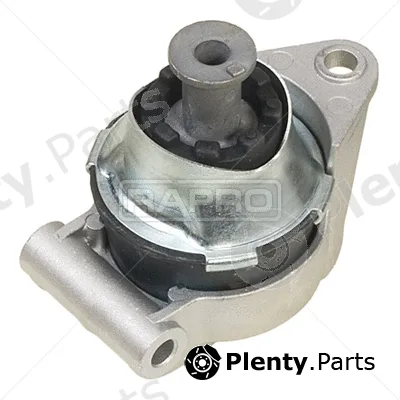 Rapro R59117 — Mounting, engine