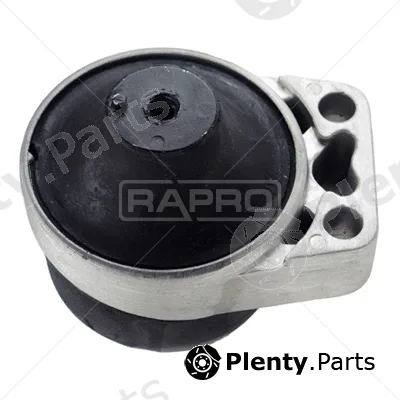 Rapro R54194 — Mounting, engine