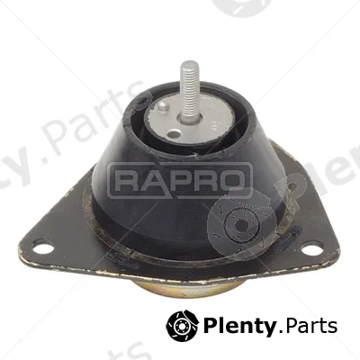 Rapro R55145 — Mounting, engine