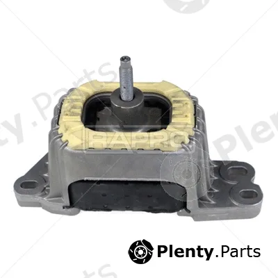 Rapro R54491 — Mounting, engine