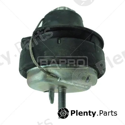 Rapro R50113/O — Mounting, engine