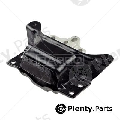 Rapro R55317 — Mounting, engine