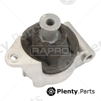 Rapro R59081 — Mounting, engine