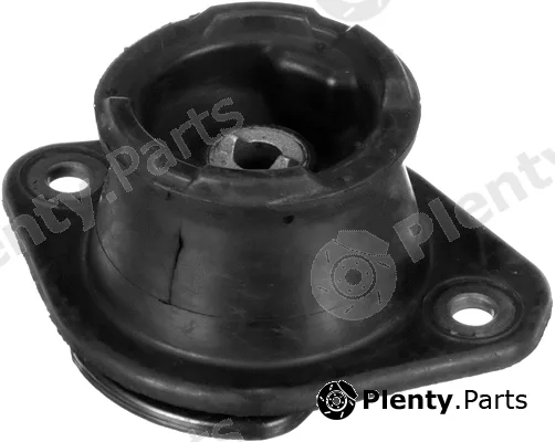 Rapro R55512 — Mounting, engine
