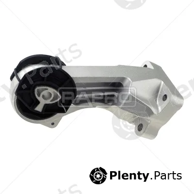 Rapro R50161/A — Mounting, engine
